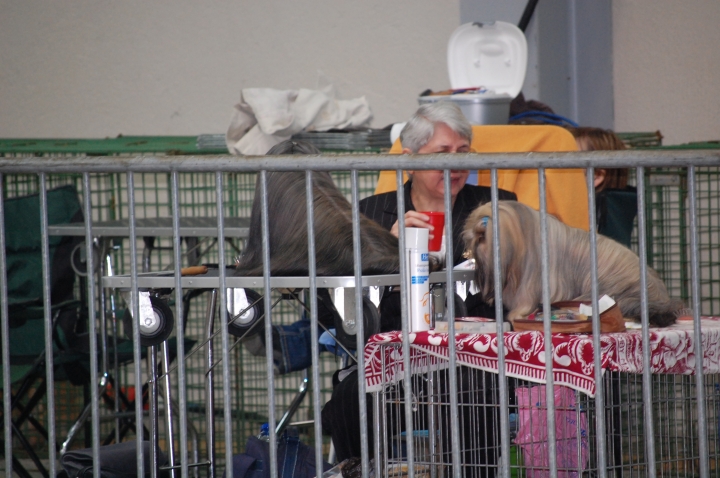 DSC_6086.jpg