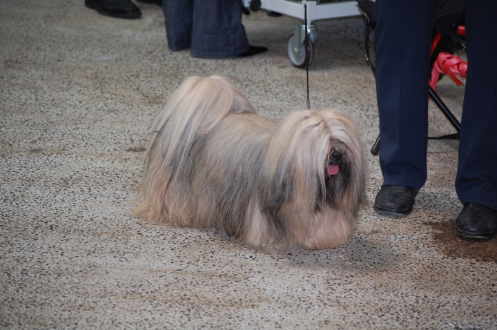 DSC_6088.jpg