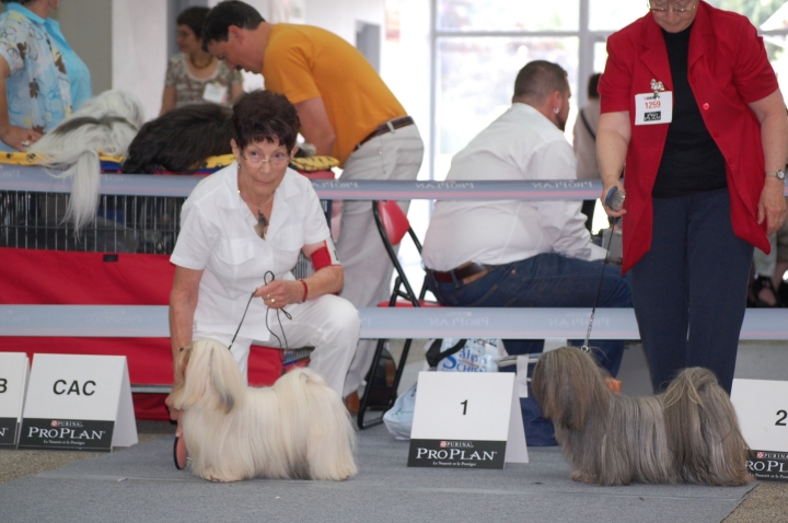 DSC_6182.jpg