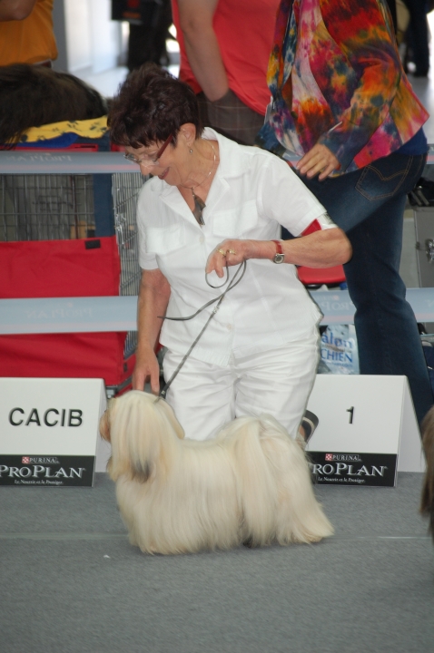 DSC_6203.jpg