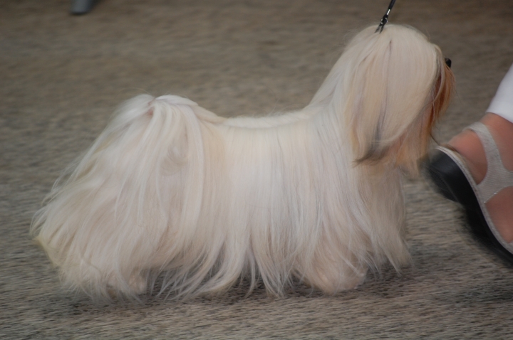 DSC_6219.jpg