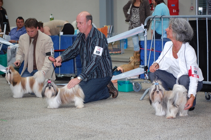 DSC_6260.jpg
