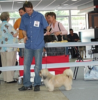 DSC_6121.jpg