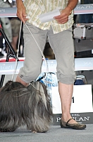 DSC_6145.jpg