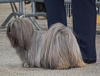 DSC_6173.jpg