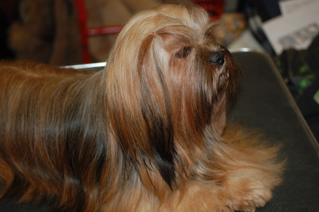 DSC_1674.jpg