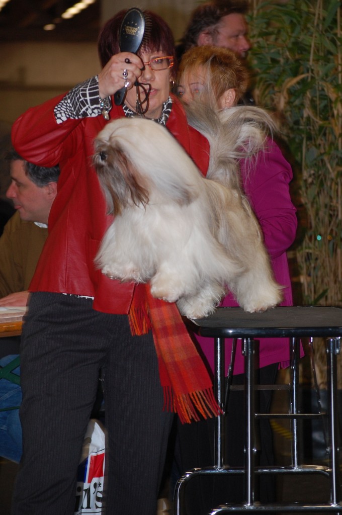 DSC_1714.jpg