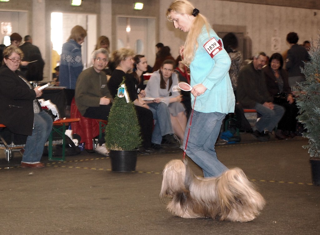 DSC_1721.jpg