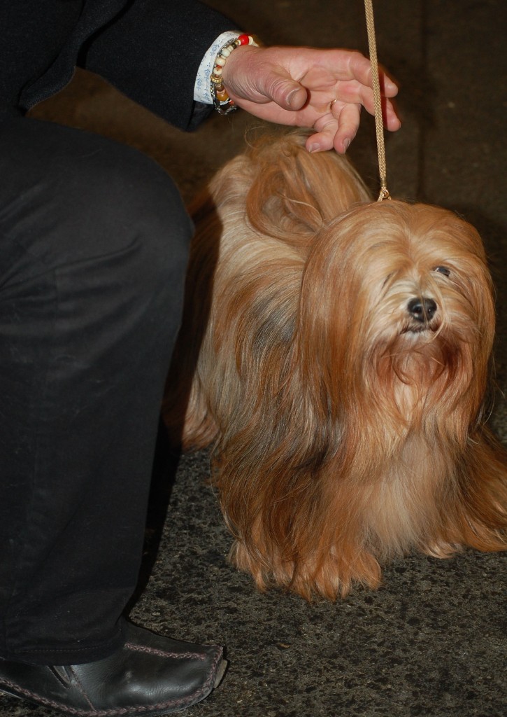 DSC_1917.jpg