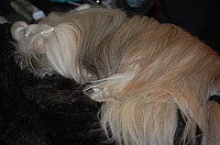 DSC_1679.jpg