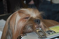 DSC_1705.jpg