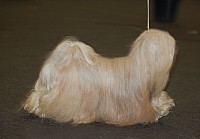 DSC_1740.jpg