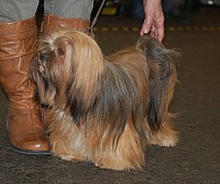 DSC_1769.jpg