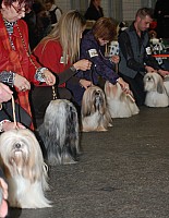 DSC_1778.jpg