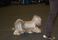 DSC_1790.jpg