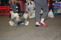 DSC_1831.jpg