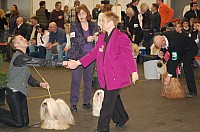 DSC_1947.jpg