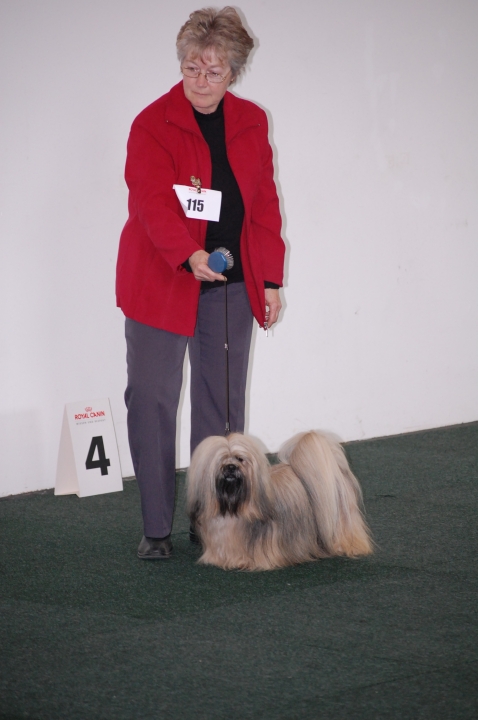 DSC_5378.jpg