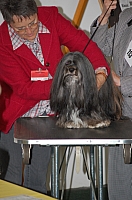 DSC_5377.jpg