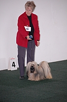 DSC_5378.jpg