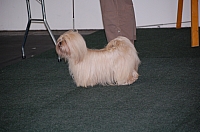 DSC_5452.jpg