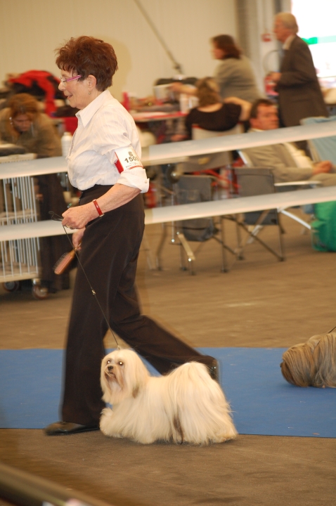 DSC_4956.jpg