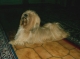 PICT_18.JPG